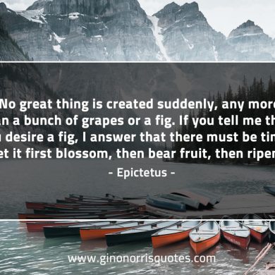 No great thing is created suddenly long EpictetusQuotes