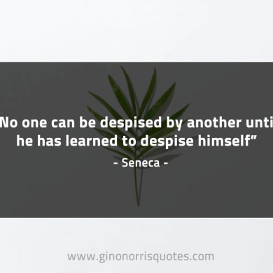 No one can be despised by another SenecaQuotes