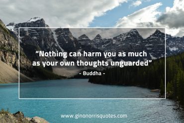 Nothing can harm you BuddhaQuotes