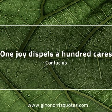 One joy dispels a hundred cares ConfuciusQuotes