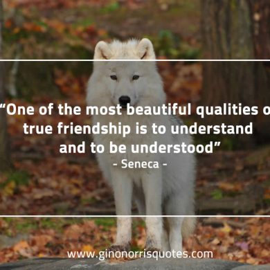 One of the most beautiful qualities SenecaQuotes