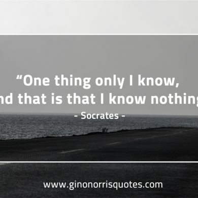 One thing only I know SocratesQuotes