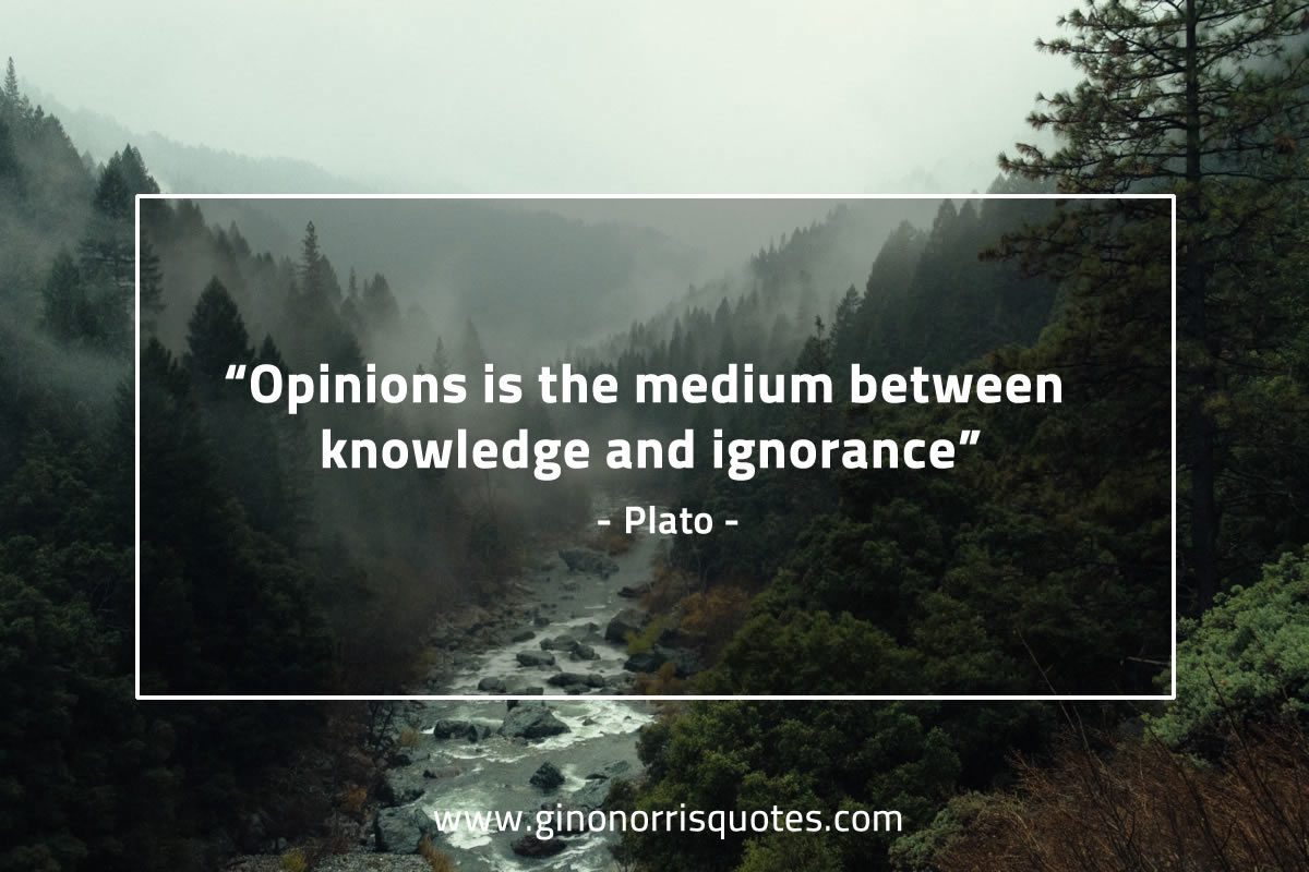 Opinions is the medium between PlatoQuotes