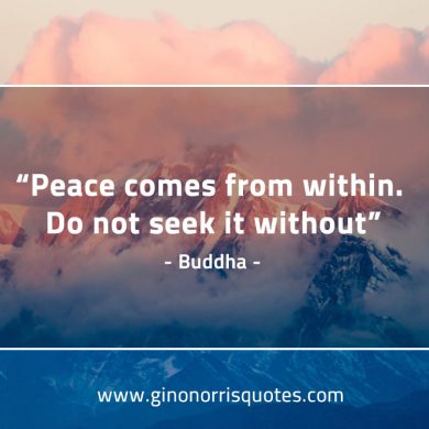 Peace comes from within BuddhaQuotes