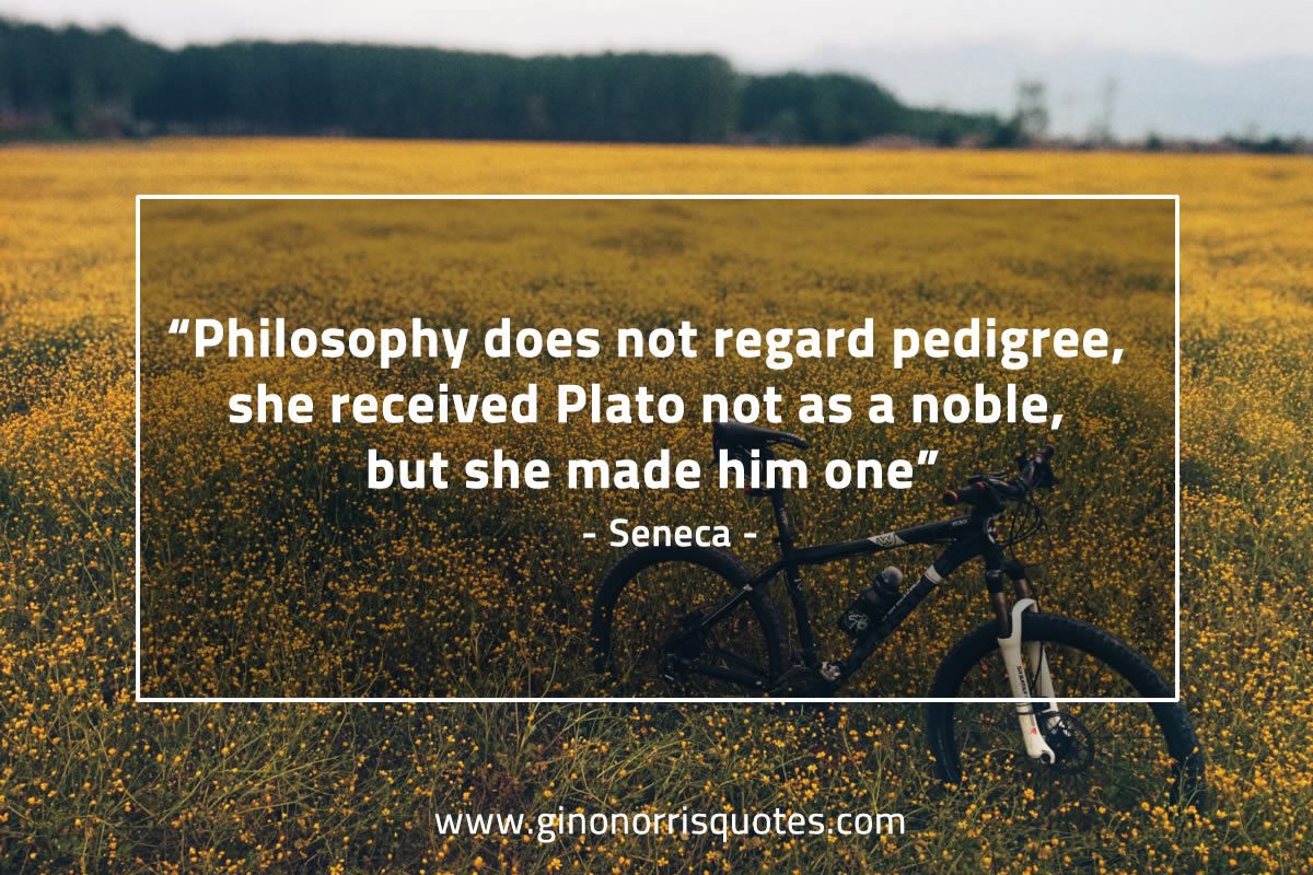 Philosophy does not regard pedigree SenecaQuotes