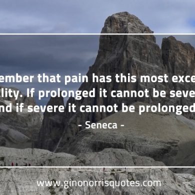 Remember that pain SenecaQuotes