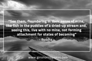 See them floundering BuddhaQuotes