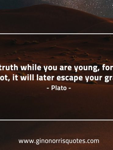 Seek truth while you are young PlatoQuotes