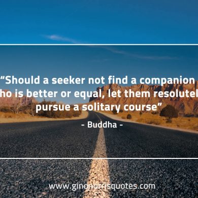 Should a seeker BuddhaQuotes