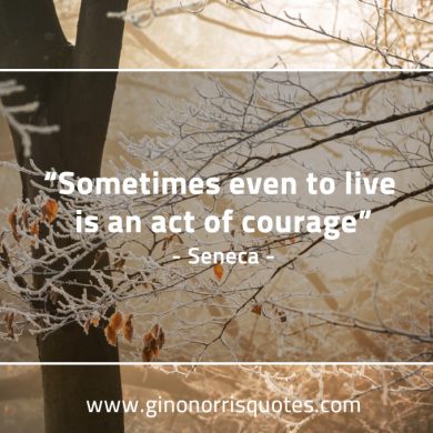 Sometimes even to live SenecaQuotes