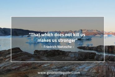 That which does not kill us NietzscheQuotes