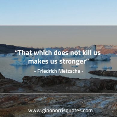 That which does not kill us NietzscheQuotes