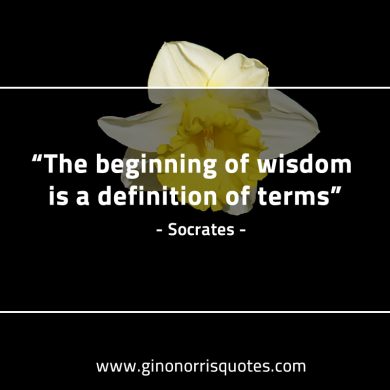 The beginning of wisdom SocratesQuotes