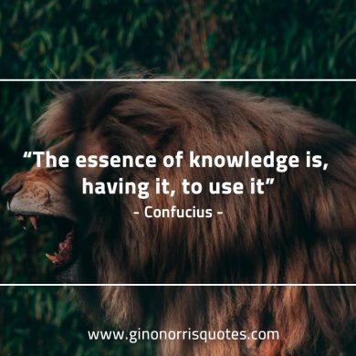 The essence of knowledge ConfuciusQuotes