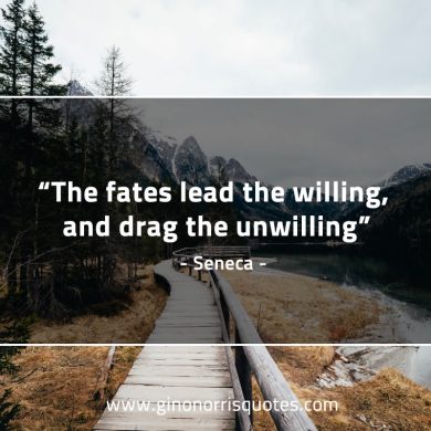 The fates lead the willing and drag the unwilling SenecaQuotes