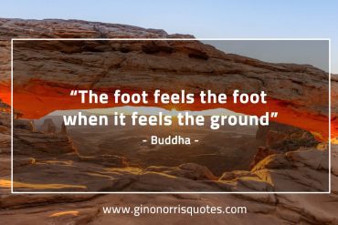 The foot feels the foot BuddhaQuotes