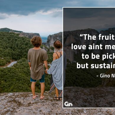 The fruits of love GinoNorrisQuotes