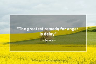 The greatest remedy for anger is delay SenecaQuotes