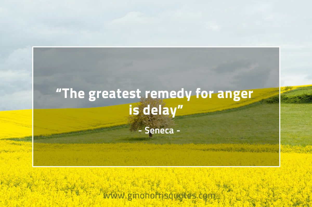 The greatest remedy for anger is delay SenecaQuotes