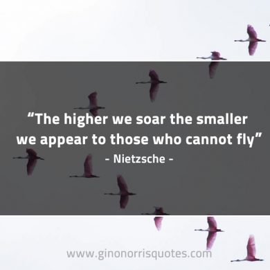 The higher we soar NietzscheQuotes