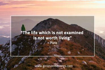 The life which is not examined PlatoQuotes