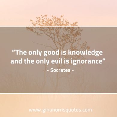 The only good is knowledge SocratesQuotes