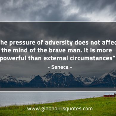 The pressure of adversity SenecaQuotes