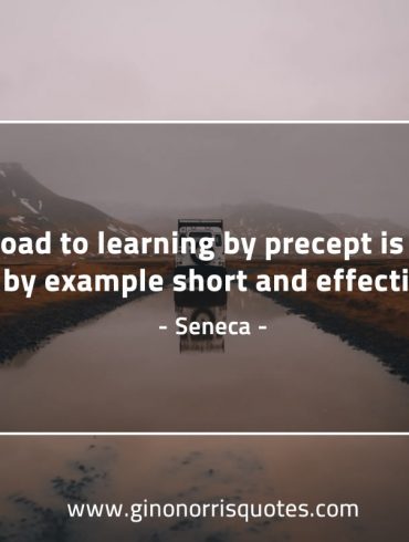 The road to learning by precept is long SenecaQuotes