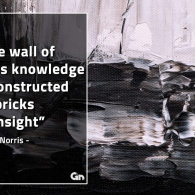 The wall of lifes knowledge GinoNorrisQuotes