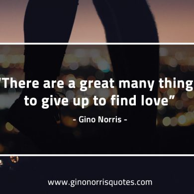 There are a great many things GinoNorrisQuotes