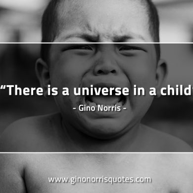 There is a  universe in a child GinoNorrisQuotes