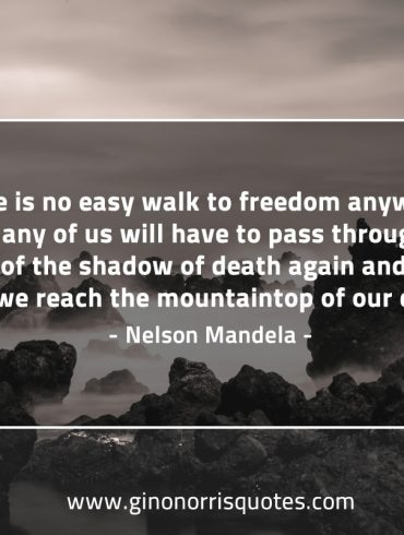 There is no easy walk to freedom MandelaQuotes