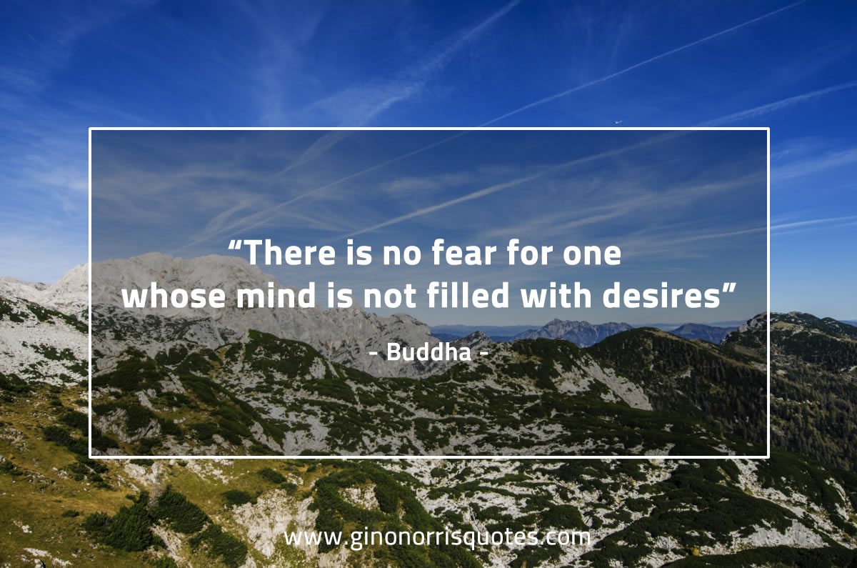 There is no fear BuddhaQuotes