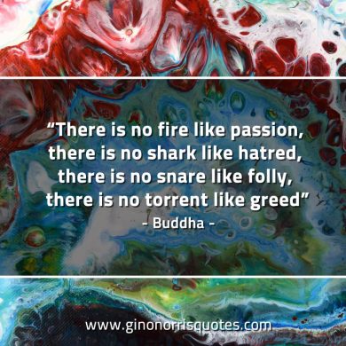 There is no fire like passion BuddhaQuotes