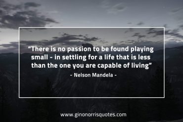 There is no passion to be found MandelaQuotes