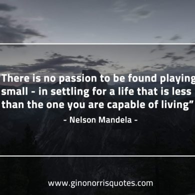 There is no passion to be found MandelaQuotes