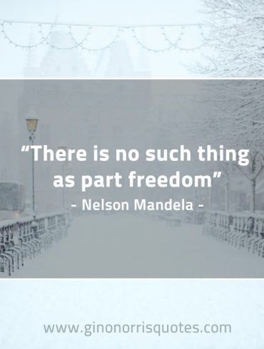 There is no such thing as part freedom MandelaQuotes