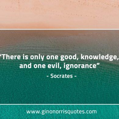 There is only one good SocratesQuotes