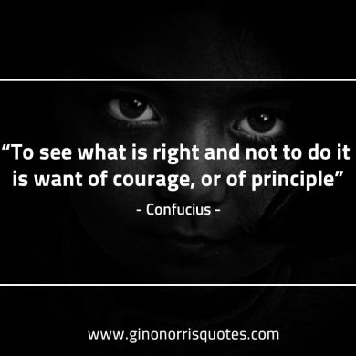 To see what is right and not ConfuciusQuotes