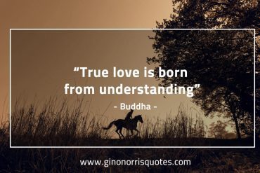 True love is born BuddhaQuotes