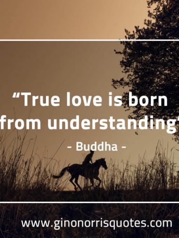 True love is born BuddhaQuotes