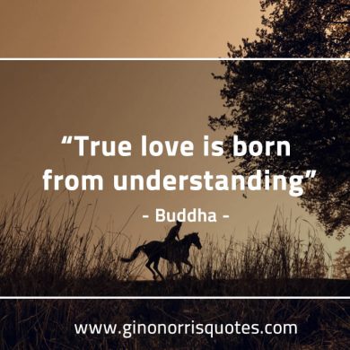 True love is born BuddhaQuotes