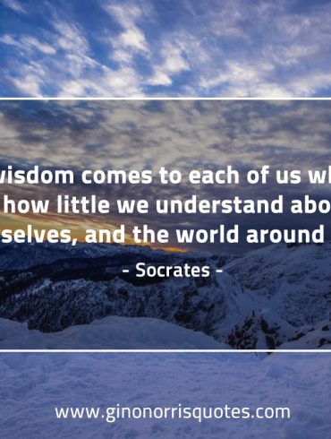 True wisdom comes to each of us SocratesQuotes