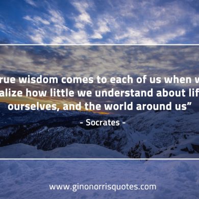 True wisdom comes to each of us SocratesQuotes