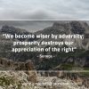 We become wiser by adversity SenecaQuotes