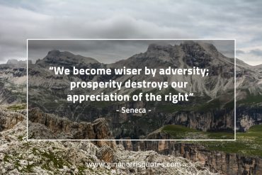 We become wiser by adversity SenecaQuotes