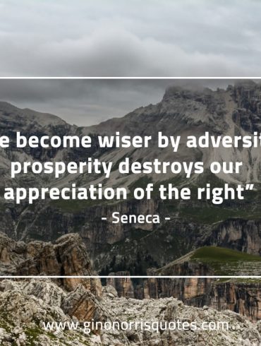 We become wiser by adversity SenecaQuotes