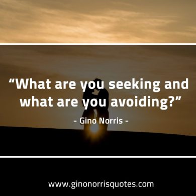 What are you seeking GinoNorrisQuotes