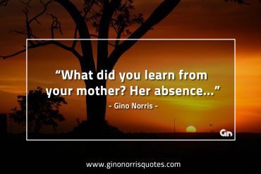 What did  you learn from your mother GinoNorrisQuotes