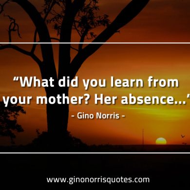 What did  you learn from your mother GinoNorrisQuotes